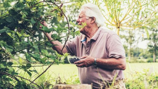 Seniorencoalitie: nu investeren in goed en vitaal ouder worden